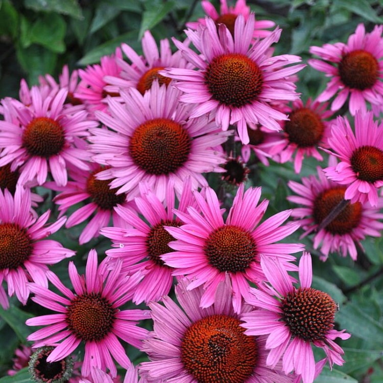 7fd4023b0f0aa3b5f8dca931481db4a9