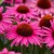 de04095d8fa80f2af98831f44bd9be60