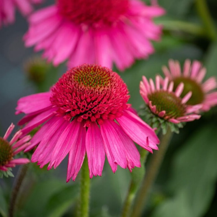 22952105f284c73421529af8fa6fc83b