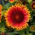 448a1a29621bdcd3c80be4c7f3daedfb