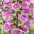8eebd0495e6095ab6b215b61f263873a