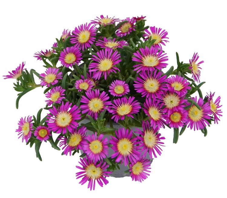 5e3249c7fe0b29be2085d31cde214215