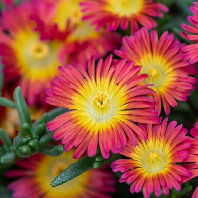 a25edc5deda6b9526f9d5266e8bad41e