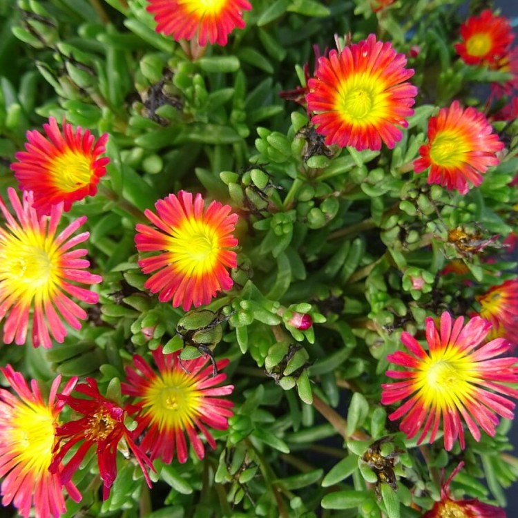 35a362dd646ccacce5b7d4358a98dbdd