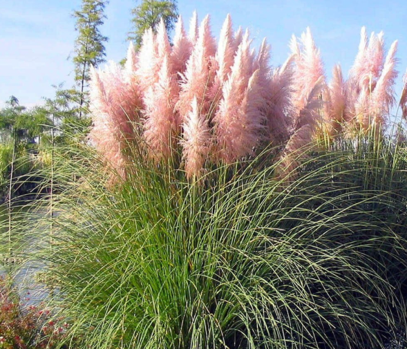 e0af9a9abcc38267107d8d18ce67da4e