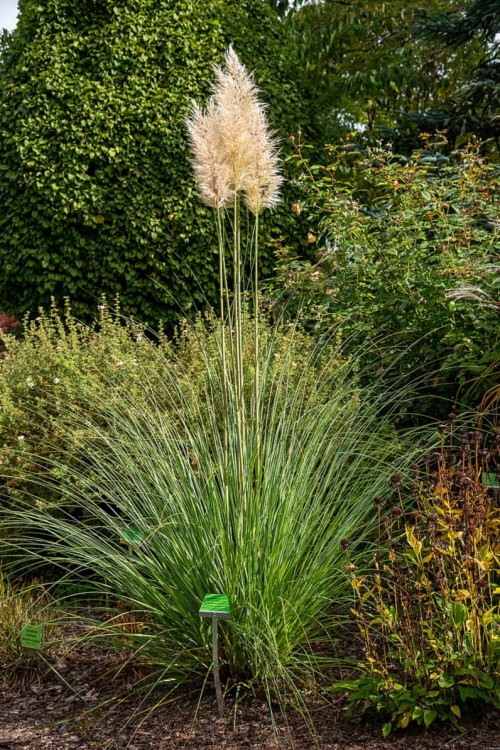 081f823d2be50b624b8a66df814a03d0