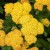 e17f2c280b9dd893c06cbcc90e3d271b