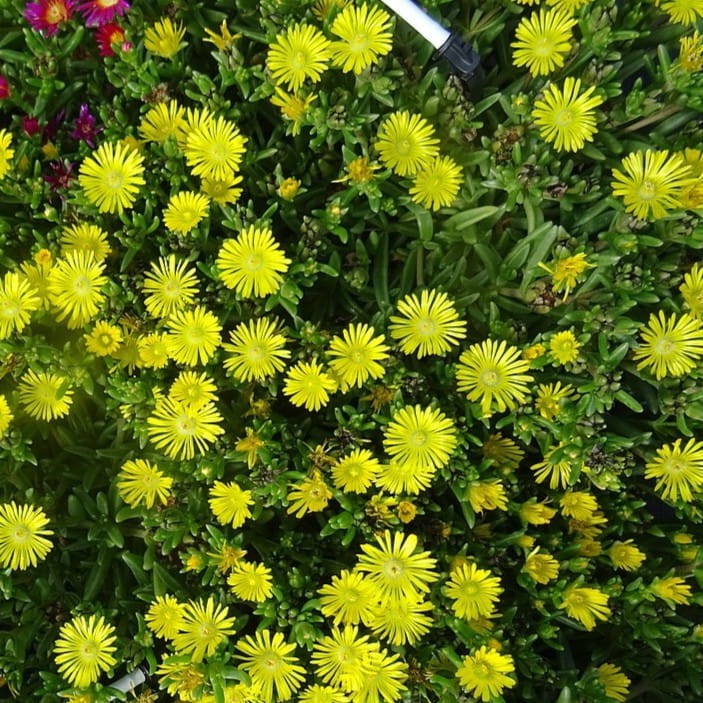 1e73643a2aa6c7212c2e6480a5857f16