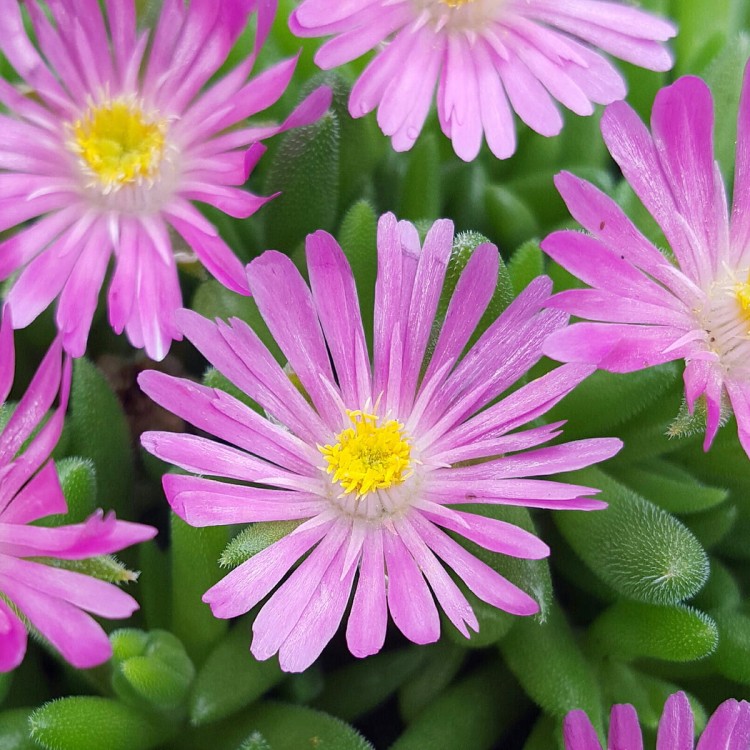 571d4b12e09a93a1b069da6734f69e0a