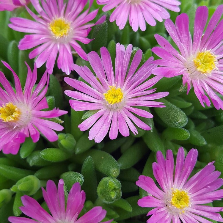 8334e3432853fb5df9123523570cbe67