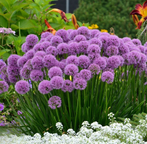 486eb301fc90c939202349d298d29ae6