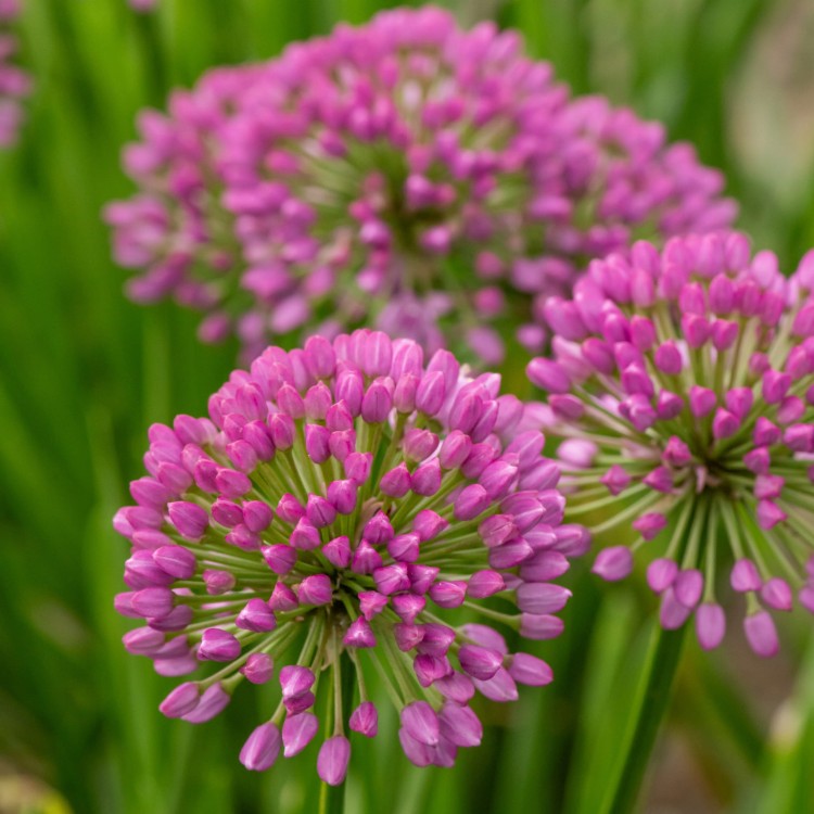 90280b06bd95a4557d05012a3b7ebdb6