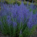 e8c888ddd4b98a6c5ac821108ebf126f