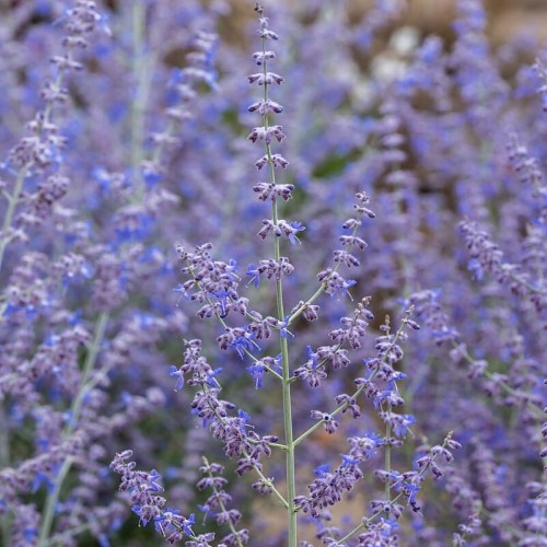 153702fce47bde2e064c97120d5343f3