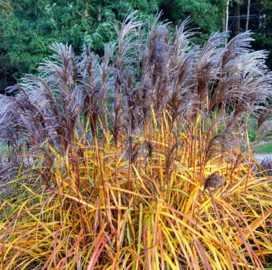 28020c3383c3eb77c82e236119544b26