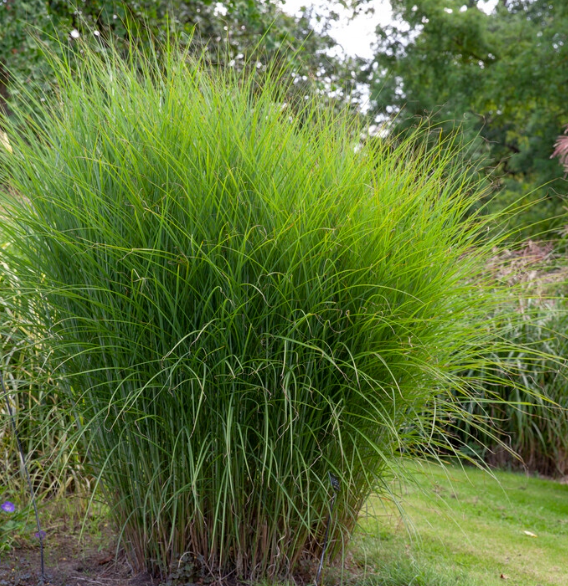 d55b23851374dab5df437a67913d6007