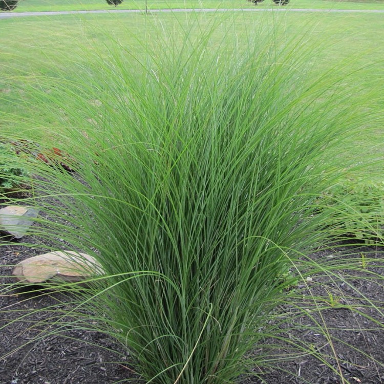 82b7e4a9e4732459214e2baee1200ec3