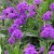 9057acff2d1584d17b7a055e14ae6477