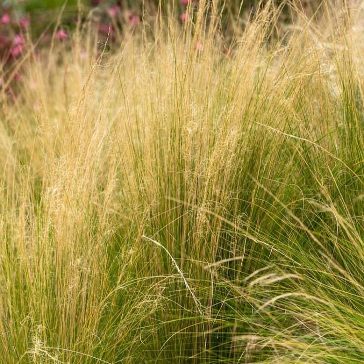 6f9e591b983d61b739b3964abd3558ce