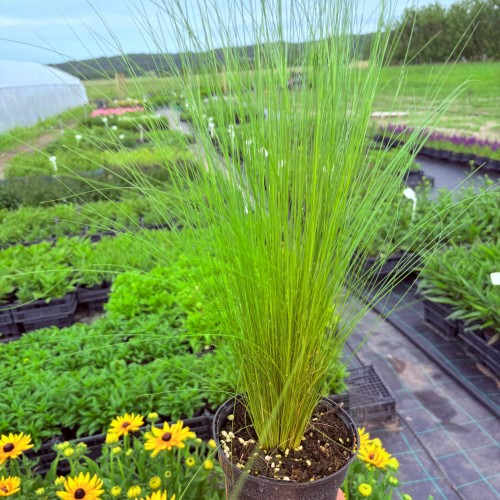 9adcb1f558ecb3d0708d422115d6a9a6