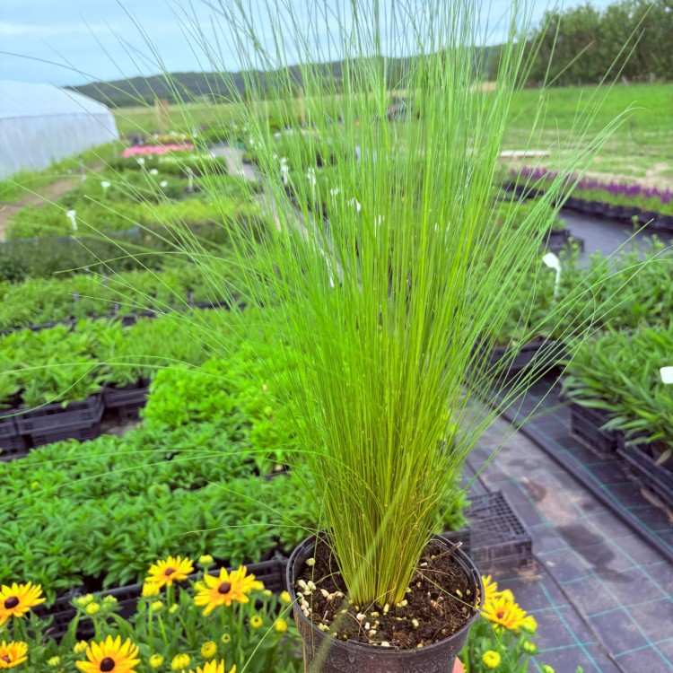 9adcb1f558ecb3d0708d422115d6a9a6