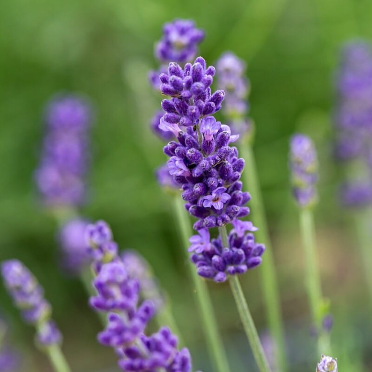 5d9fe2257d84b2fcc751fea5dc3a6cb3