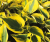 5086025e1ac0bfd4863c459b0a1027be
