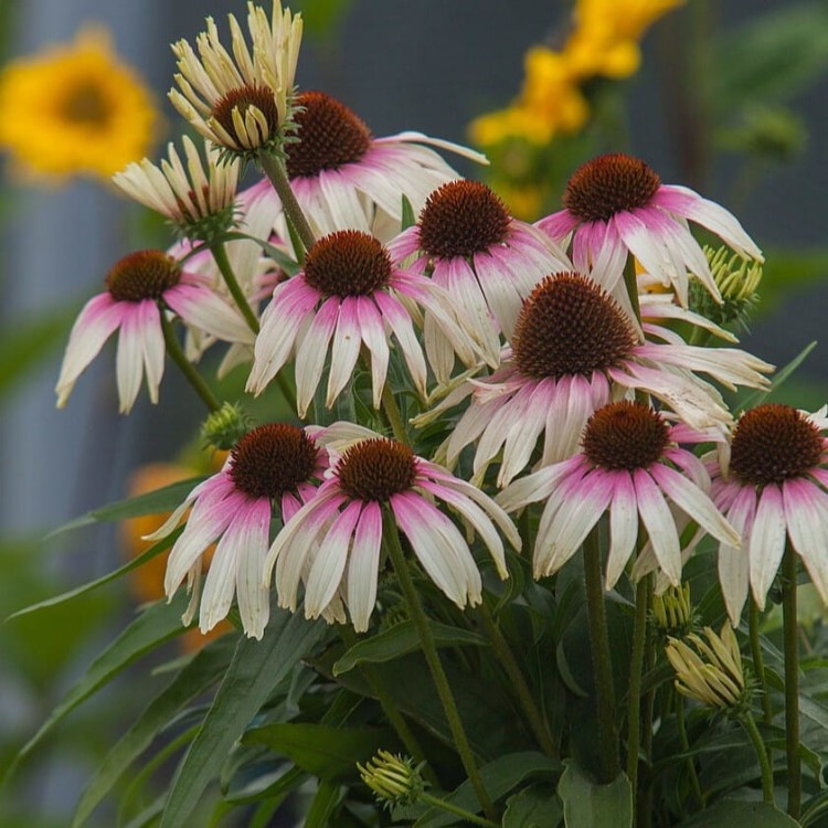 f7ae2f1efd8d9b82f3b6ca7abd2a074c