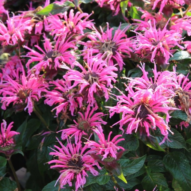 5b189565542a3cc01a360183222b74a1