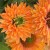 d6db80a652ca7129640edead02ef3651