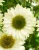 c24f11b83ab1211188cacf62ffc126fe