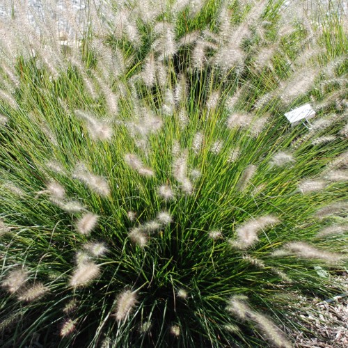 59dfc94b6e4905881e1240610016d9a6