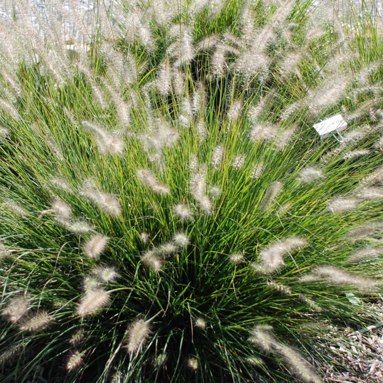 59dfc94b6e4905881e1240610016d9a6