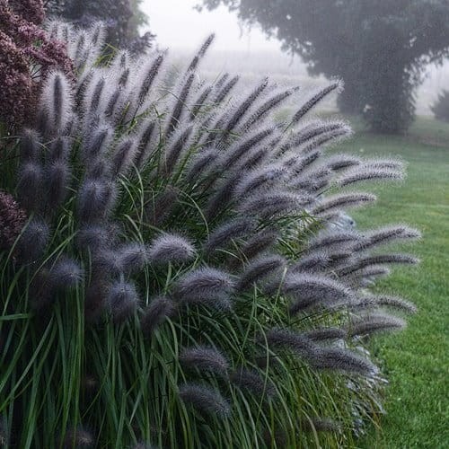 4d93b293e0bccd0f4eb0e79b60fe5720