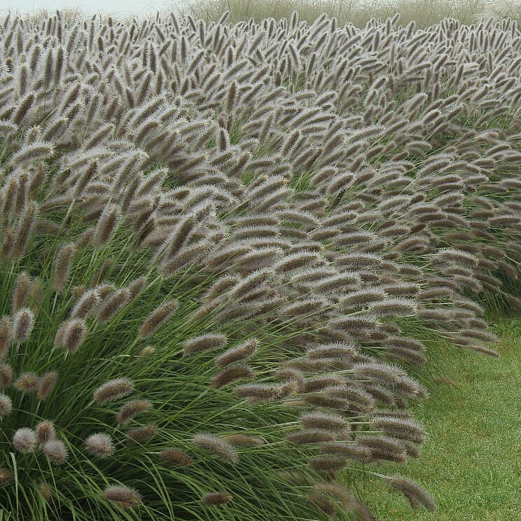 293ece32411fc7bb196ec373ae847a0c