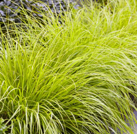 8f3be4d812b342628d47795c5e0f8787