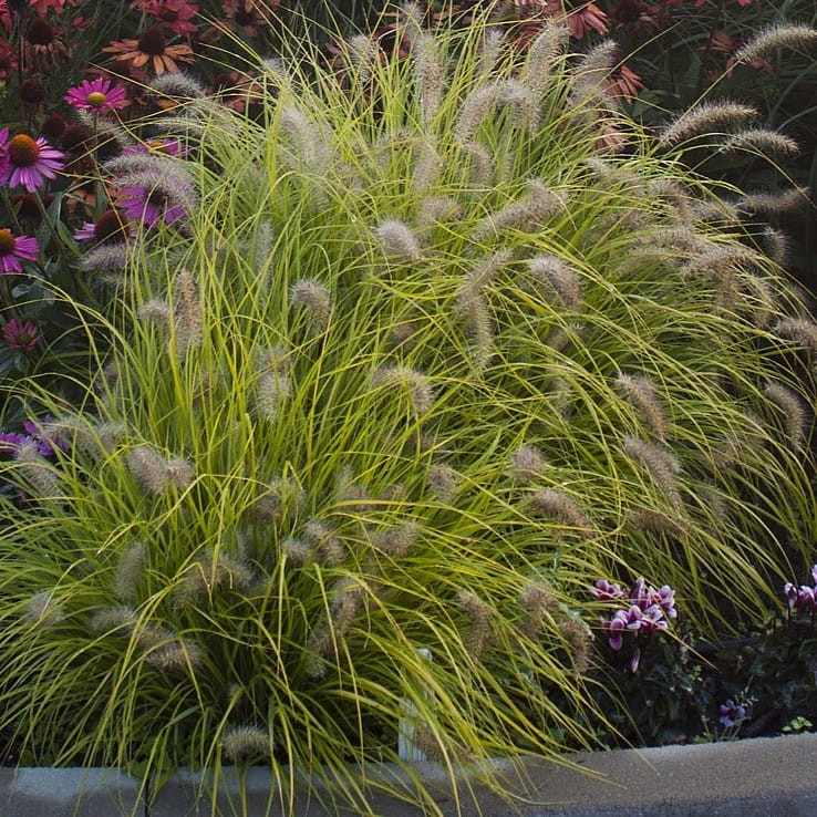 458d1d7b27d892e647549955989505f9