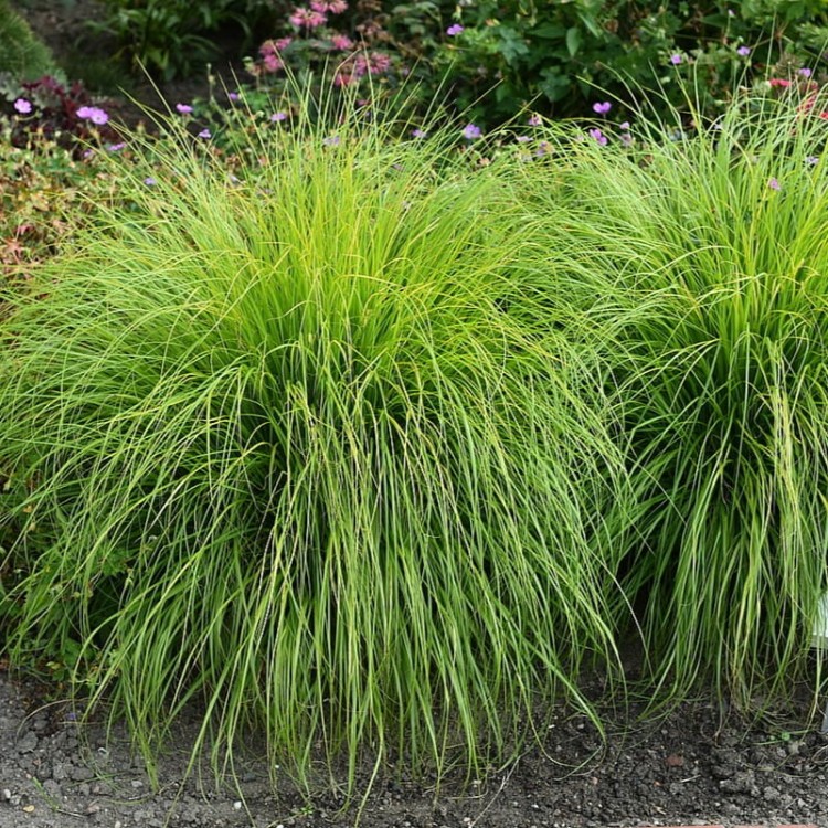 c0c7699ca2696b992f5feda69f053ad1