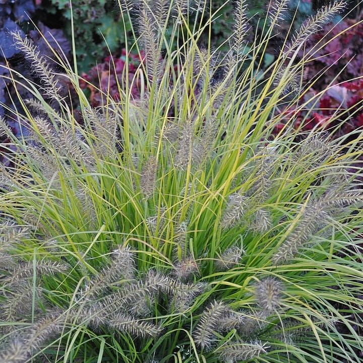 46ae10a6b6de4ce3c90eebe00f9ec6da