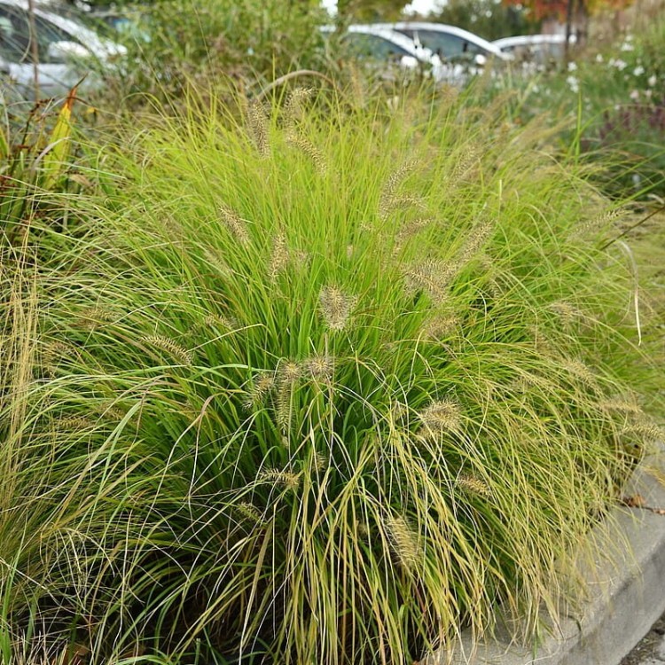 27636011f55d013a887108b7aa4c8d3a