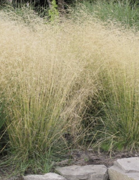 Zrzut ekranu 2025-04-23 225331.png