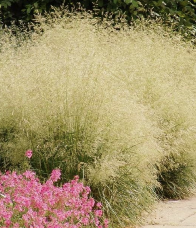 Zrzut ekranu 2025-04-23 225312.png