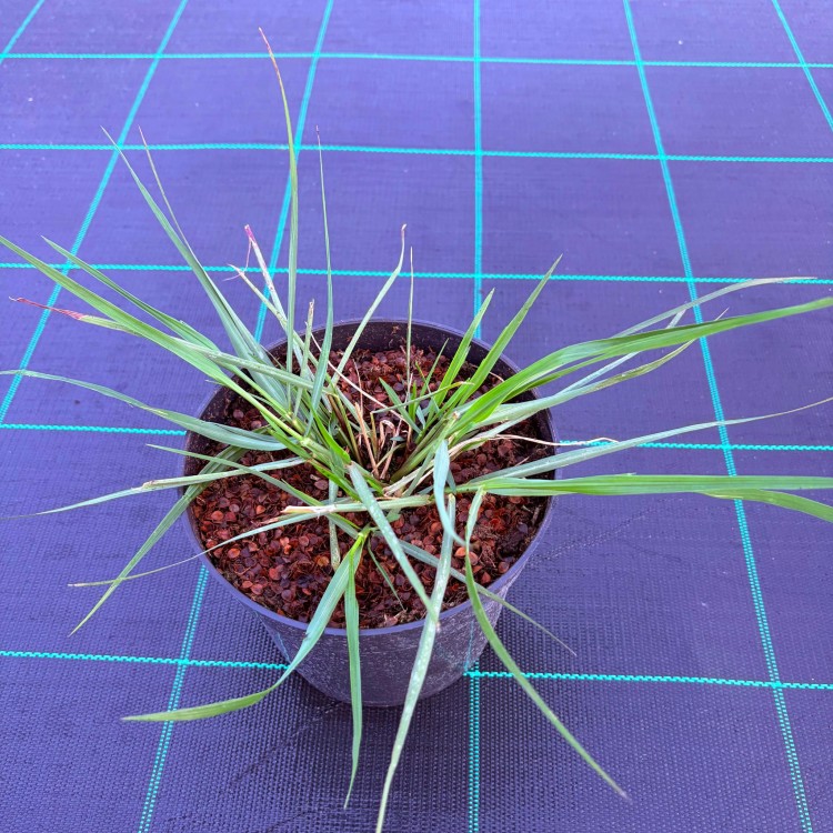 Zdjęcie WhatsApp 2025-06-06 o 22.56.18_9c0c8965.jpg